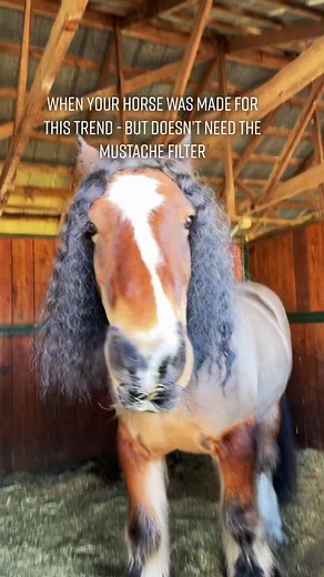 Andrea Savage: The Princess Bride Tribute with Horses and Mustaches