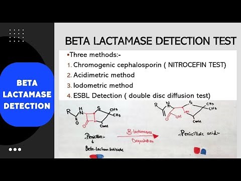 Beta Lactamase detection