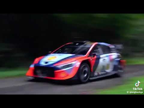 Don't Miss Out on Central Europe's Wildest Rally Experience