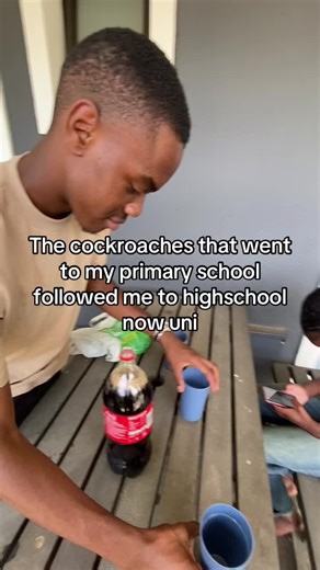 The Cockroaches Following Me from Primary to University