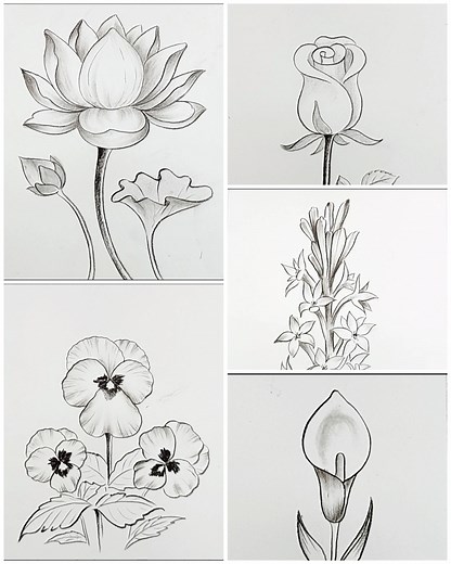 252K views · 2.5K reactions | Easy and simple flower drawing ideas | Drawing Book | Facebook
