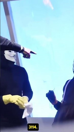 identifying the spy ninja peoject zorgo spy mission cwc ninjas