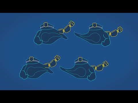 Cellectis Allogeneic CAR-T Cells