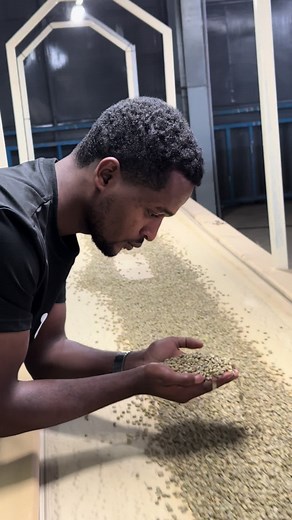 Ethiopian Coffee Export Production