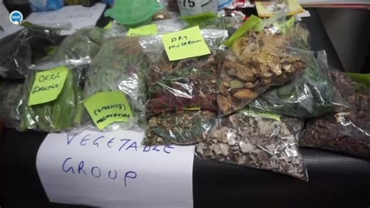 1.4K views · 192 reactions | UK Applauds Zambia’s Progress in...