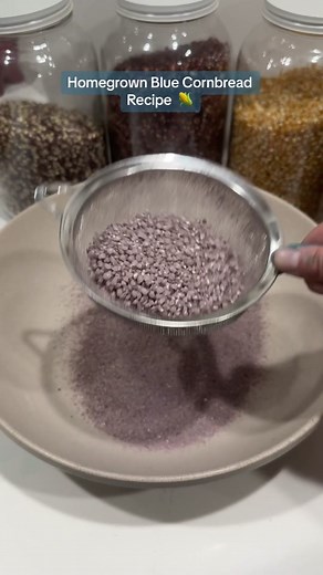 This was literally the best cornbread I’ve ever had. #bluecorn #cornbread #cornbreadrecipe #comfortfood #chili #corn #🌽 Recipe: 1 Cup Freshly ground Blue Cornmeal 1 Cup Cassava Flour, T55 or All purpose 3 Large Eggs 3 1/2 teaspoons baking soda 1 teaspoon salt 1/3 cup butter or oil 1 cup milk of choice 1/2 cup honey 1/2 cup sugar Bake at 400° for 25-30 minutes or until firm in the center