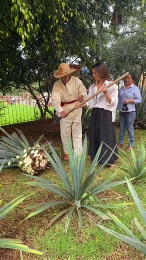 Happy National Tequila Day! @Casa Del Sol Tequila is truly unique (and I’m not just talking about the taste and quality!).Casa Del Sol is a socially responsible company and committed to caring for each person involved in the creation of our products. We are developing programs to help level the playing field for women in Jalisco.It is always my mission to uplift the voices of women and celebrate my Mexican heritage, so that others may be inspired by the limitless genius and artistry that is rich
