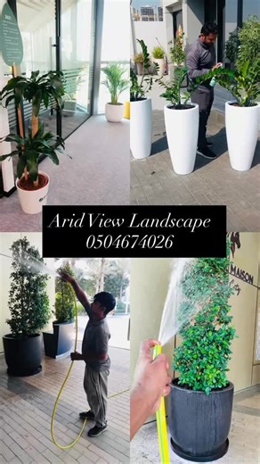 Maintenance team -Indoor & Outdoor Plants 華 | ARID VIEW Landscaping | Facebook
