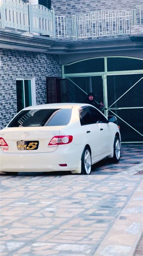 Exploring Antique Treasures: Chaudhary's Curated Collection