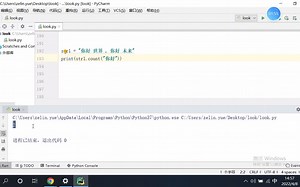 python 的字符串检索