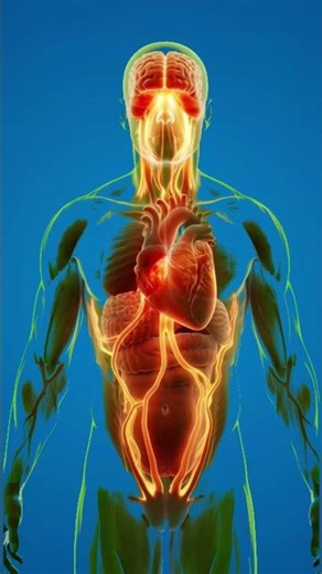 Collagen Cacao Inside the Human Body | 3D Medical Animation Explained