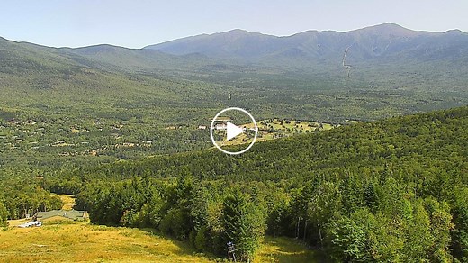 Bretton Woods Cam