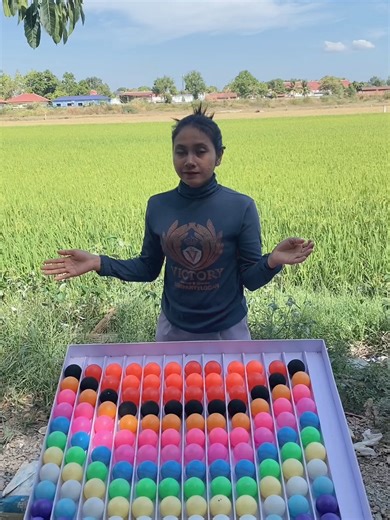 Color Sort Puzzle Challenge for Fun and Strategy