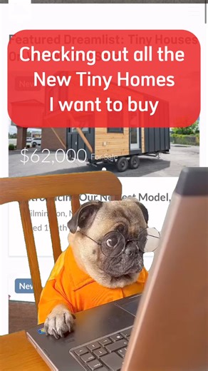 7.6K views · 40 reactions | Discover your dream tiny house! Scroll through our stunning new listings on our website! ✨ Each home is unique, and stylish! Check them out now and start your tiny living journey today! Tinyhouselistings.com  _______________________________#TinyHome #NewListings #DreamHome #tinyhousemovement #home #ExploreMore #realestate #TinyLiving | Tiny House Listings | Facebook