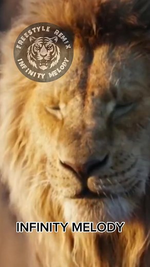 Infinity Melody Freestyle Mix by DJWS and Allan Back