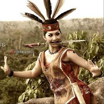 Story wa dayak Kalimantan