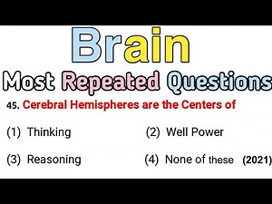 Human Brain MCQ | Nervous System MCQ || NEET 2025