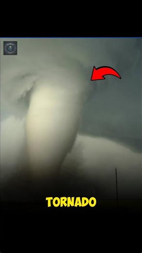 THE LARGEST OBJECTS ON EARTH! (PART 2) #shorts