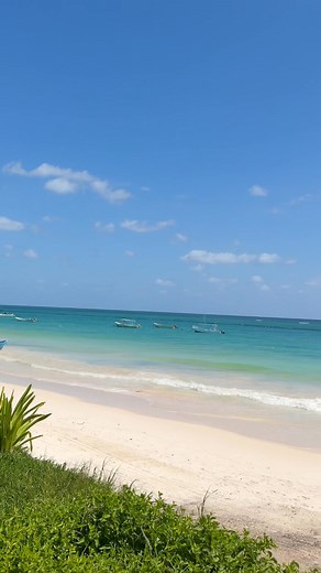 16 reactions | TULUM TODAY.  #tulumvibes #tulum | Luisca Garcia | Facebook