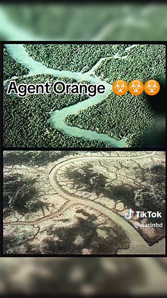 #CapAgent Orange is a chemical herbicide and defoliant, one of the tactical use Rainbow Herbicides. It was used by the U.S. military as part of its herbicidal warfare program, Operation Ranch Hand, during the Vietnam War from 1961 to 1971. It is a mixture of equal parts of two herbicides, 2,4,5-T and 2,4-D. In addition to its damaging environmental effects, traces of dioxin (mainly TCDD, the most toxic of its type) found in the mixture have caused major health problems for many individuals who w