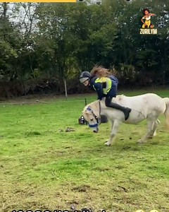 3.1K views · 58 reactions | Horseplay Gone Wrong: Hilarious Horse Riding Fails! | Zurilym | Facebook
