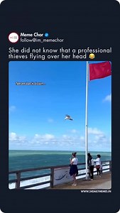 1.3M views · 5.9K reactions | This is proof everyone loves ice cream…  | Meme Sarcasm Comedy | Facebook