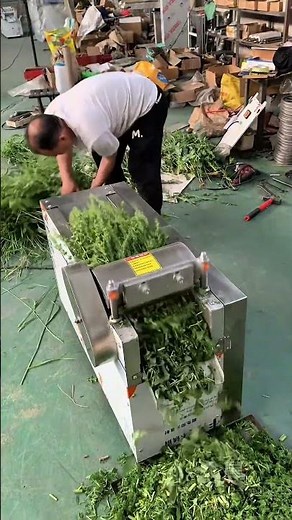 Efficient Industrial Vegetable and Forage Chopping Process