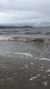 3.7K views · 25 comments | First time 'home' home since end of Feb. Weather the same but lovely to be back. | Lee McKenzie | Facebook