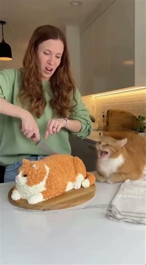 🤣 Cutting a cat cake 🍰 and the real cat freaks out!