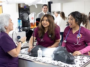 Ventura College Opens Lokahi Lab, Part of Veterinary Tech Program