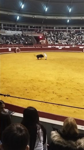 recorte toro bravo la flecha #shorts