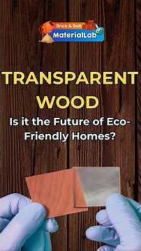 Transparent Wood: The Future of Eco-Friendly Homes with Light, Strength & Sustainability