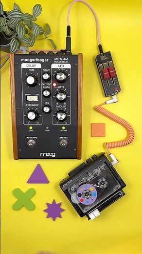 Exploring evolving analog textures with the Moogerfooger Analog Delay and a tape loop