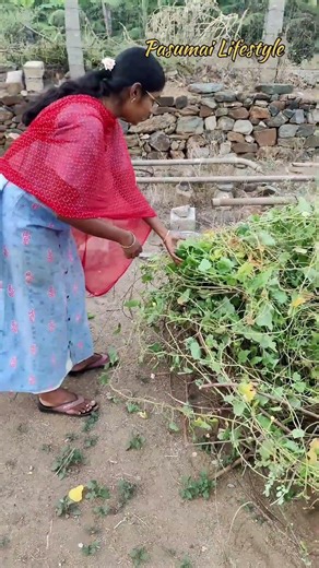 உயிரை பணையம் வைத்து சுத்தம் செய்தோம்! Well cleaning Transformation #shorts