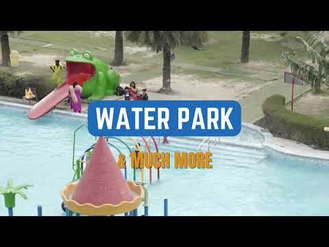 Welcome to Mojoland, where every thrill-seeker's dream comes to life!