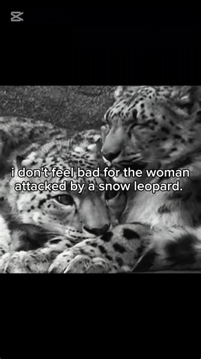 one of the first ever recorded attacks by the way. AND ALL FOR A SELFIE. // keywords: cats, snow leopard, wild cats, big cats, animals, spirit animals, feline, me core, zoology, trending, skiier attacked by snow leopard, snow leopard attack, woman attacked by snow leopard for a selfie. #snowleopard #hottake #feline #wildcat #rant