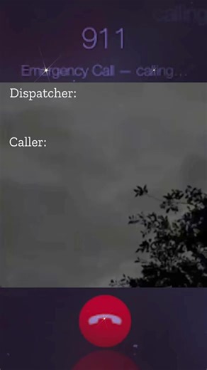 #911audio #911 #911calls #911whatsyouremergency #911scarycalls #fyp #foryou #911call #cop #kid #usa | Ramifermy