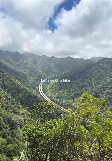 4.8 miles of adventure at Aiea Loop Trail ⛰️🍃 #hiking #hikingadventures #travel #traveltiktok #hawaii #oahu #creatorsearchinsights #fyp