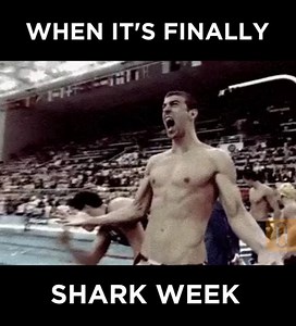 6.2K views · 18 reactions | Michael Phelps to race great white shark for Shark Week!! | Hubhopper | Facebook