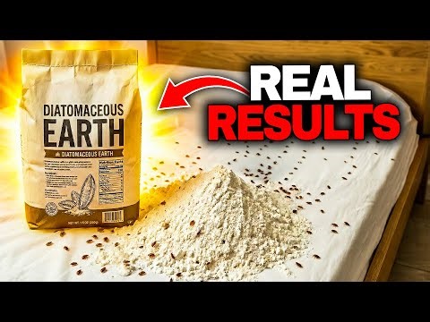 THE BEST WAY To Get Rid Of Bed Bugs QUICKLY!! Coca Cola...