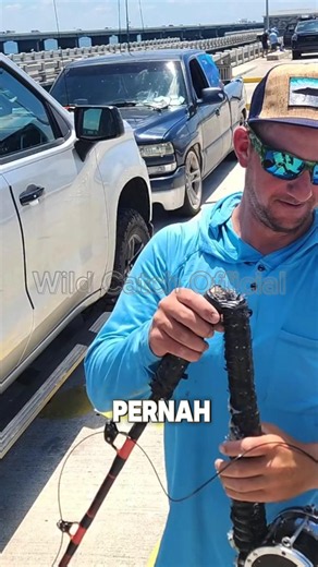 Akibat Memancing Monster Kerapu 💀