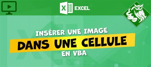 Insérer une image dans une cellule Excel en VBA - Extrait de formation | Tuto.com