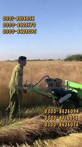 66K views · 426 reactions | Mini Reaper Harvester Machine | China...