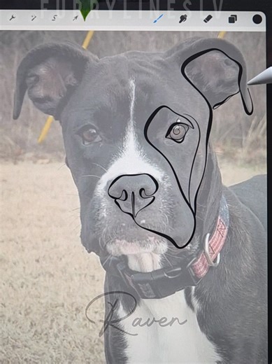 #lineart #dogart #dogdrawing | Dog Drawing