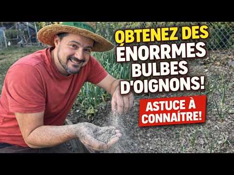 How to Grow Onions in the Vegetable Garden 🧅 4 Tips + Wood Ash Trick