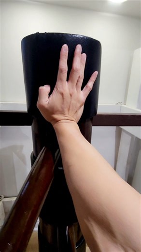 The power of a Wing Chun palm strike comes from structure, enhanced by the wrist. #wingchun #palmstrike | Wing Chun Club