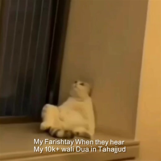 Mr Grey (@0fficial_mr_grey)’s videos with original sound - Mr Grey