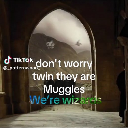 Understanding Muggles in the Harry Potter Universe