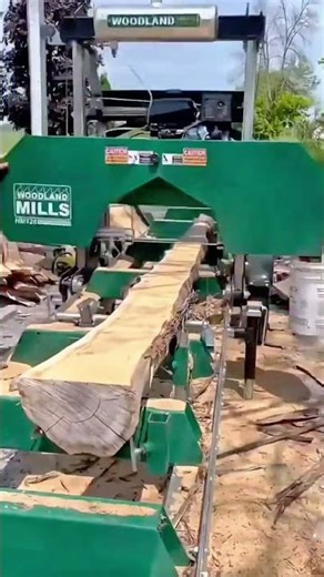 Milling Large Wood Logs Automatically Using Band Saws for Professional Timber Industry