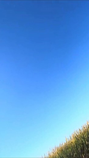 High Moisture Corn Problems With Augers! Part 4 | Bee Farmer